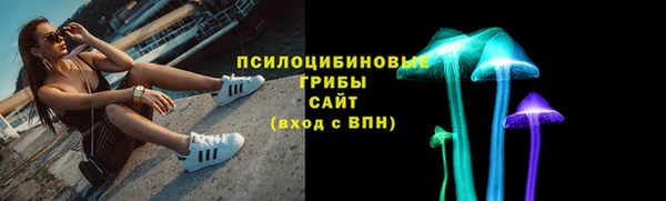 индика Абдулино