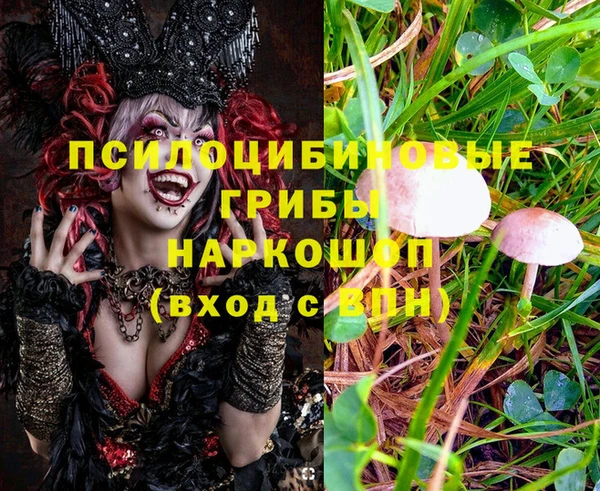 твердый Абаза