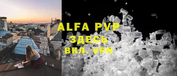 твердый Абаза